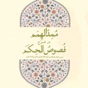 ممدالهمم در شرح فصوص الحکم